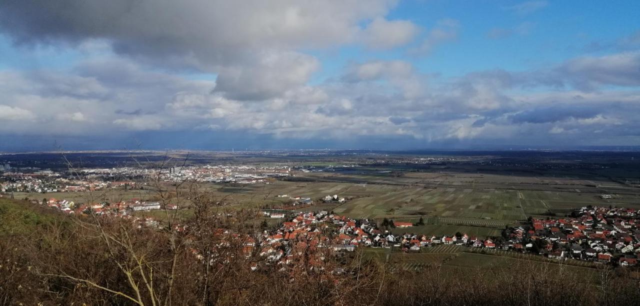 Apartment Drehwald Rinnthal