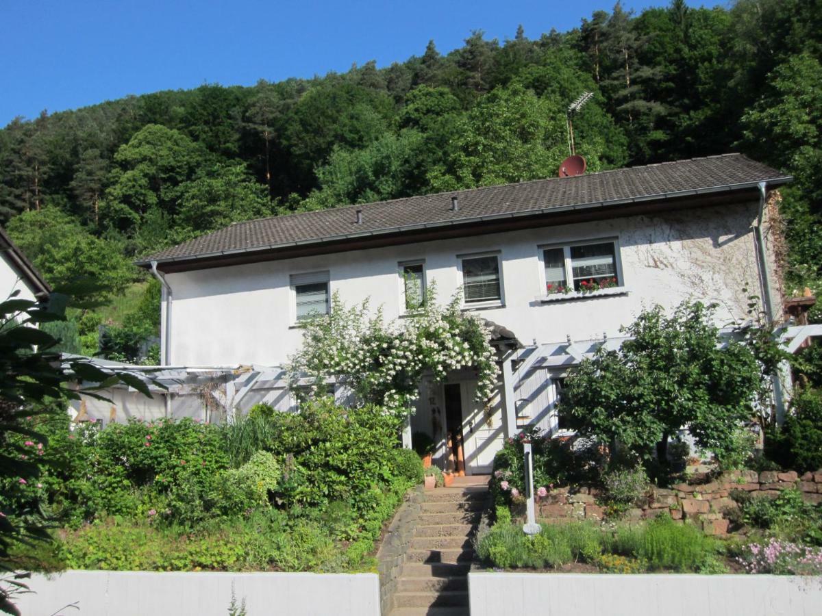 Drehwald Apartment