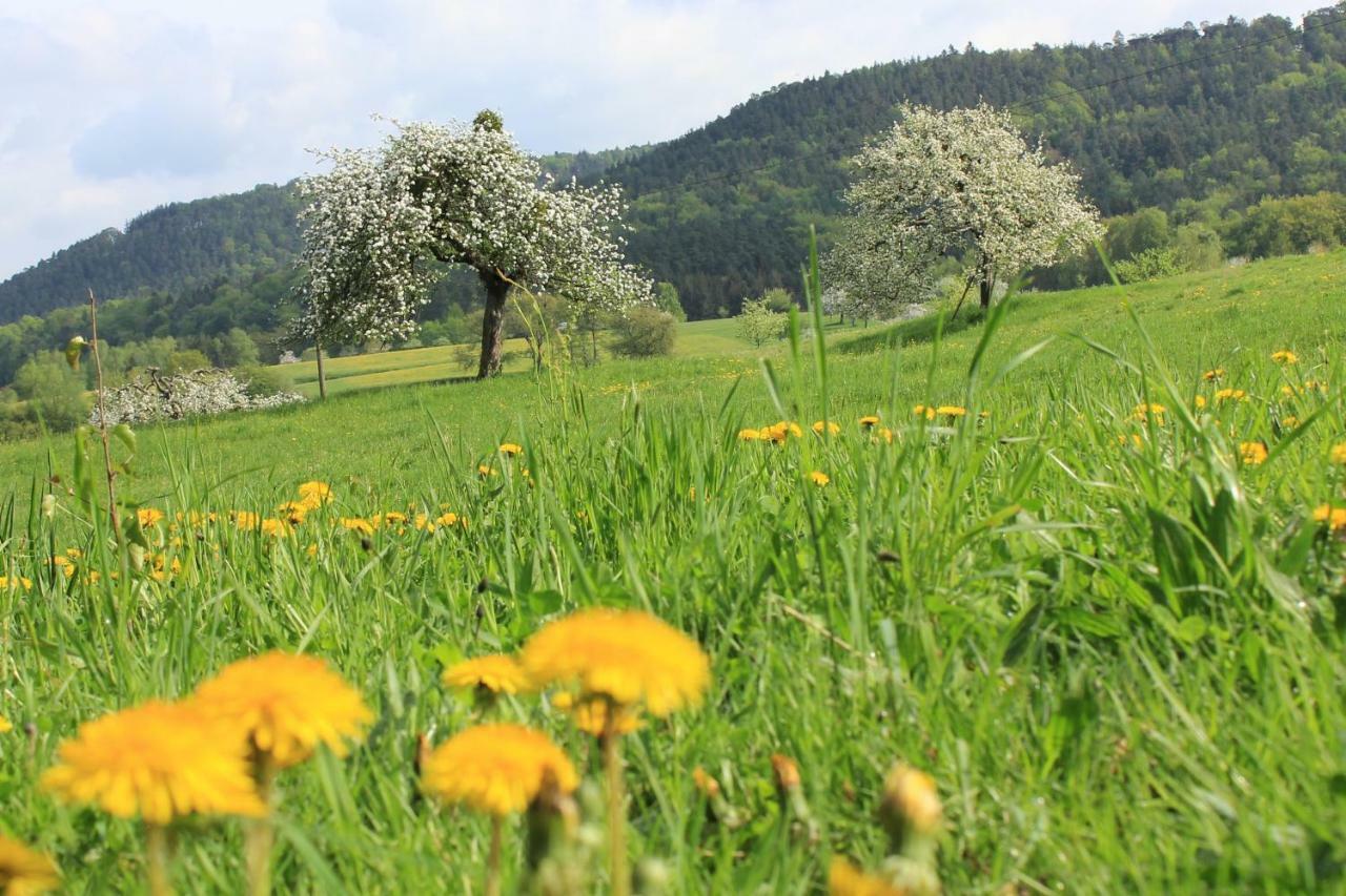 Drehwald Apartment Rinnthal
